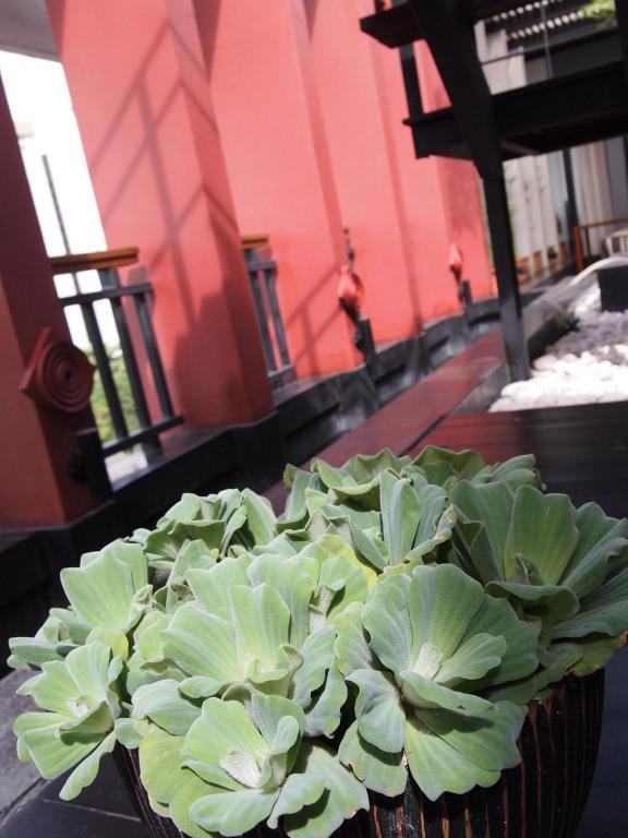 Loogchoob Homestay Banguecoque Exterior foto